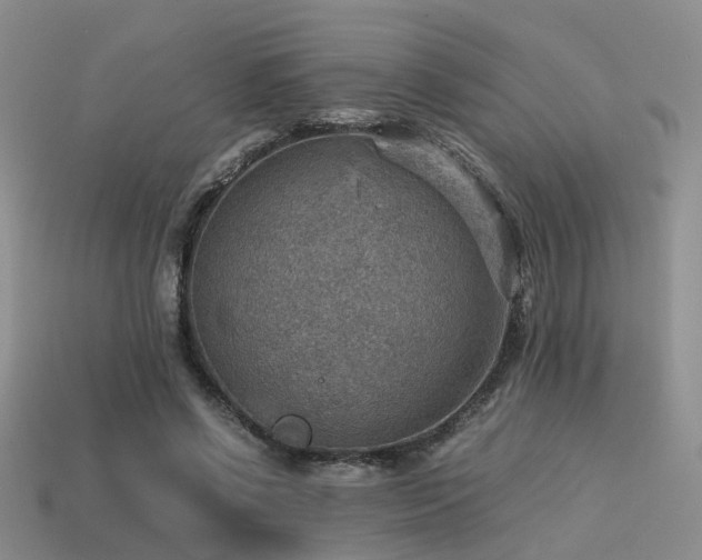 X0000113590542200909181334