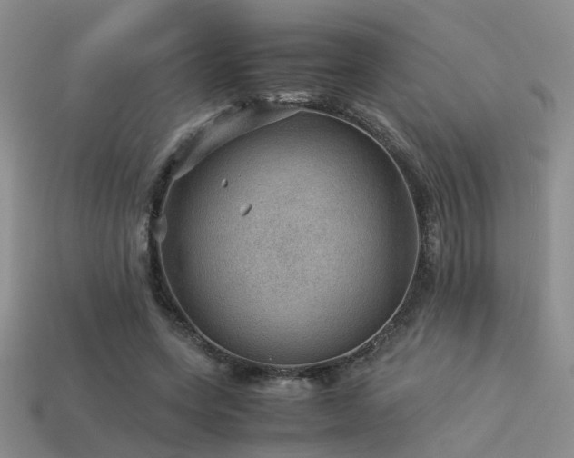 X0000113590543200909181334