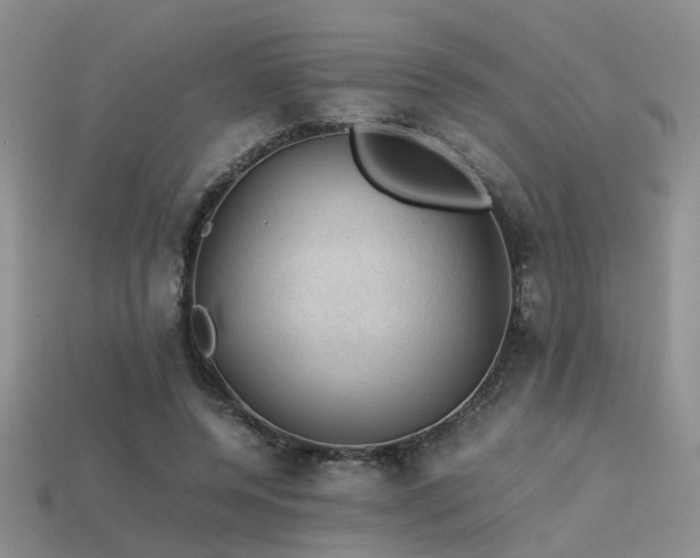 X0000113590544200909181334