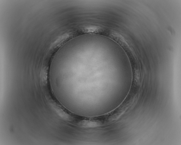 X0000113590545200909181334