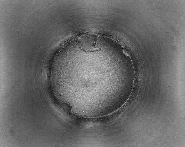 X0000113590546200909181334