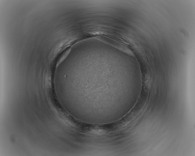 X0000113590547200909181334