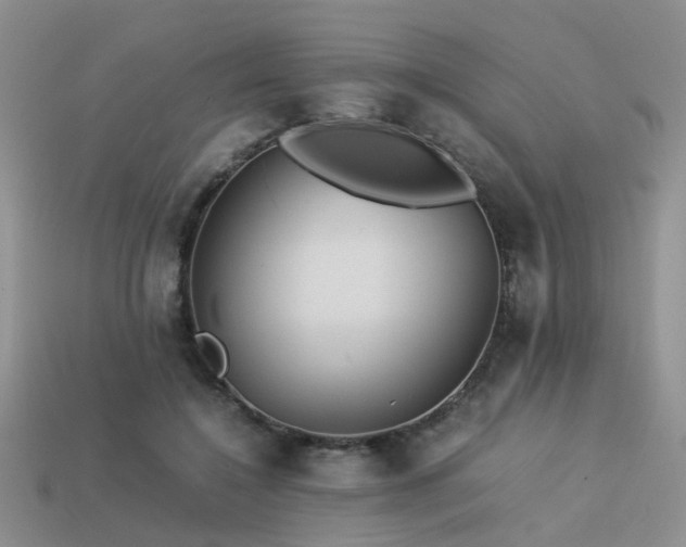 X0000113590548200909181334