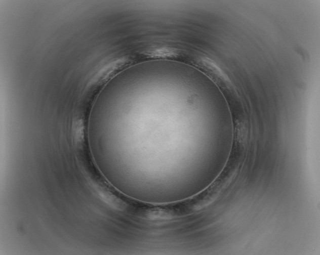 X0000113590549200909181334