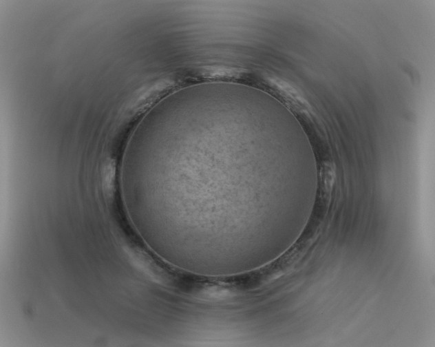 X0000113590550200909181334