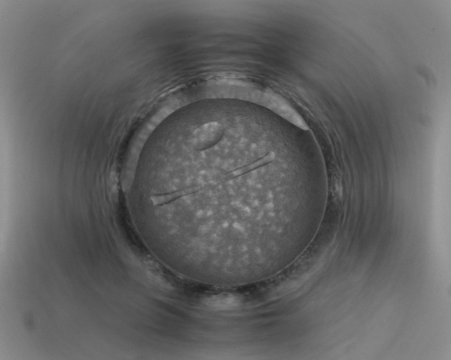 X0000113590551200909181334