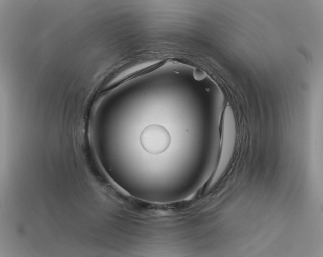 X0000113590552200909181334