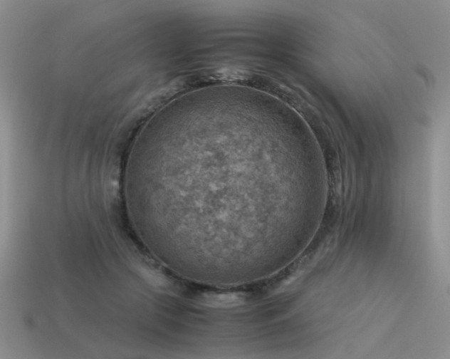 X0000113590553200909181334