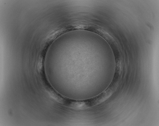 X0000113590554200909181334