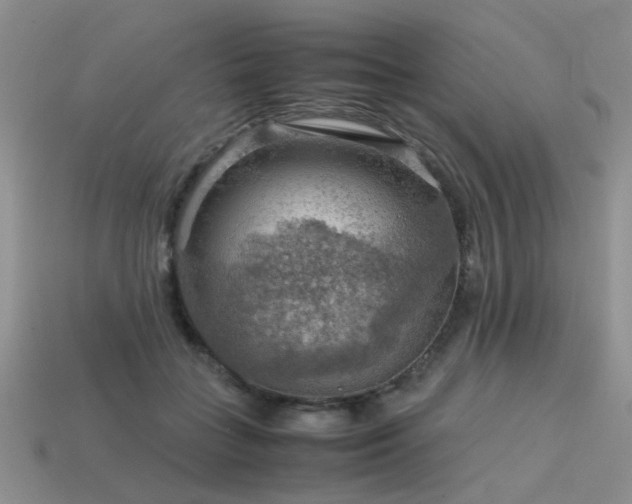 X0000113590555200909181334