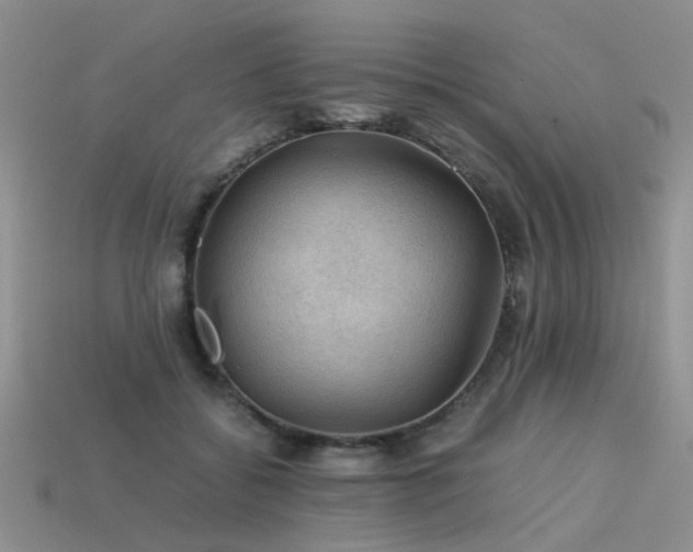 X0000113590556200909181334