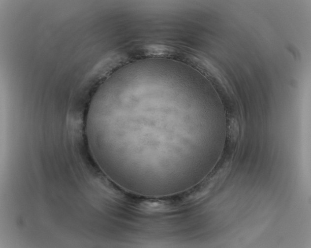 X0000113590557200909181334