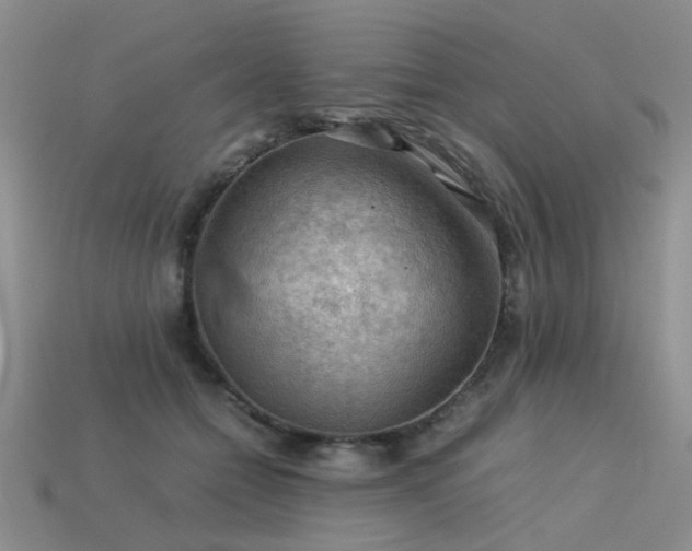 X0000113590558200909181334