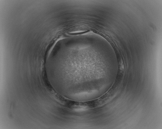 X0000113590559200909181334