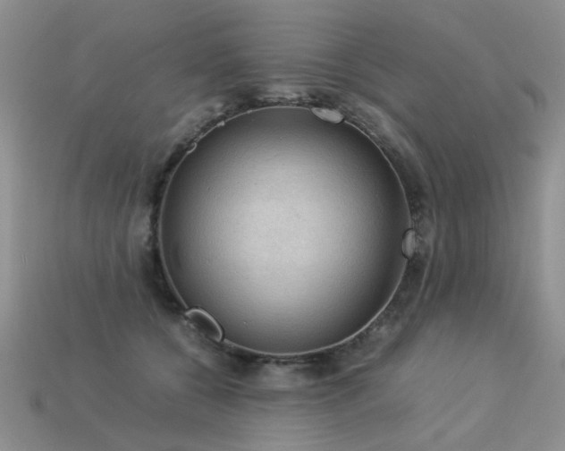 X0000113590560200909181334