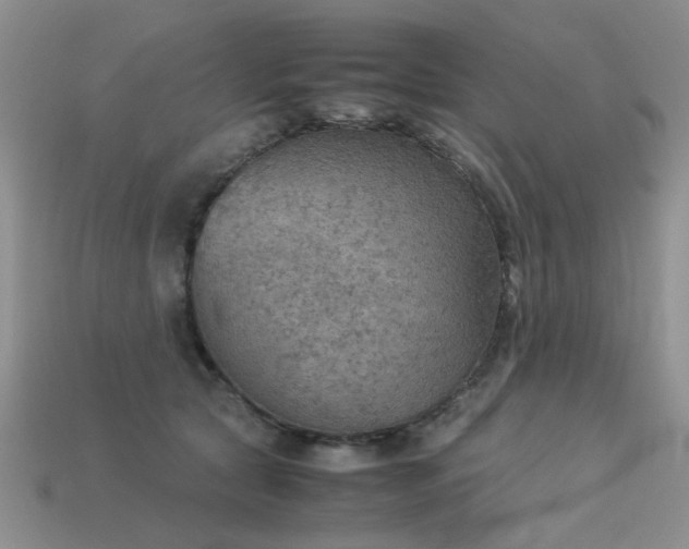 X0000113590561200909181334