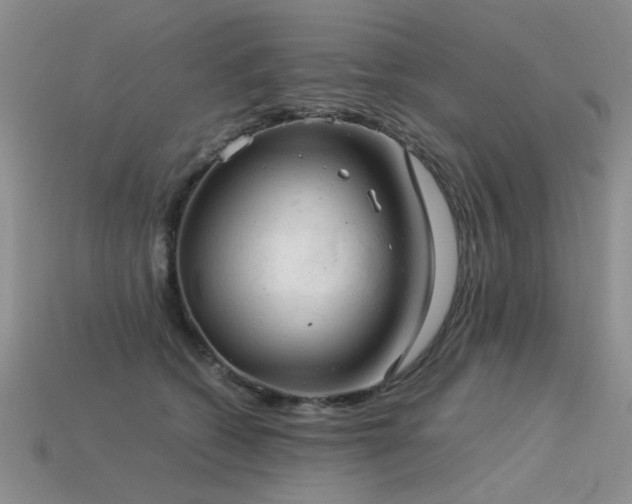 X0000113590562200909181334