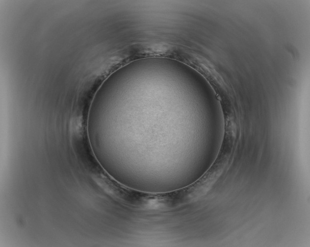 X0000113590564200909181334