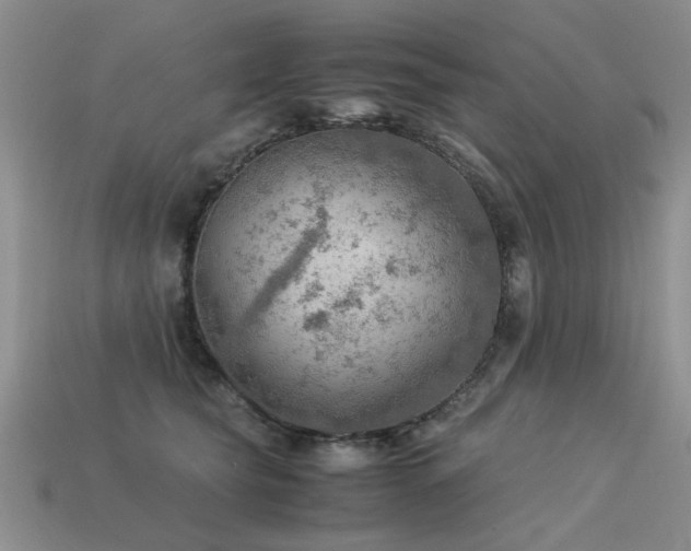 X0000113590565200909181334