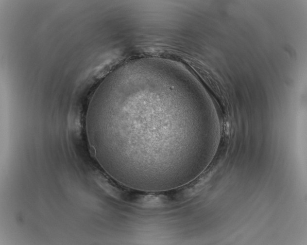 X0000113590566200909181334