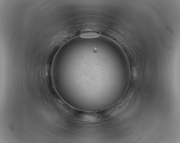 X0000113590567200909181334