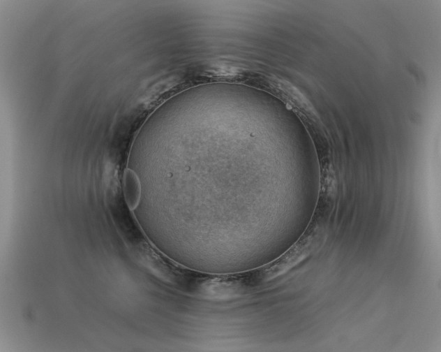 X0000113590568200909181334