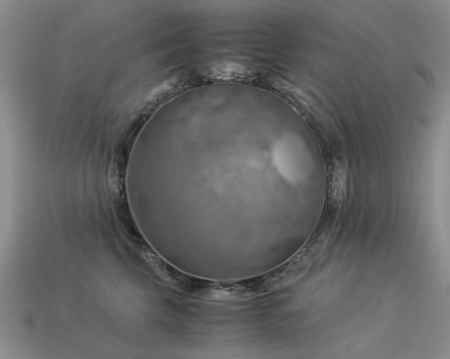 X0000113590569200909181334