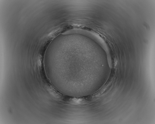 X0000113590570200909181334