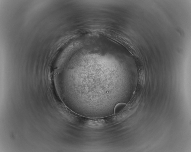 X0000113590571200909181334