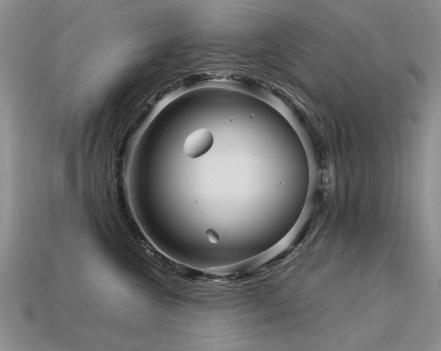 X0000113590572200909181334