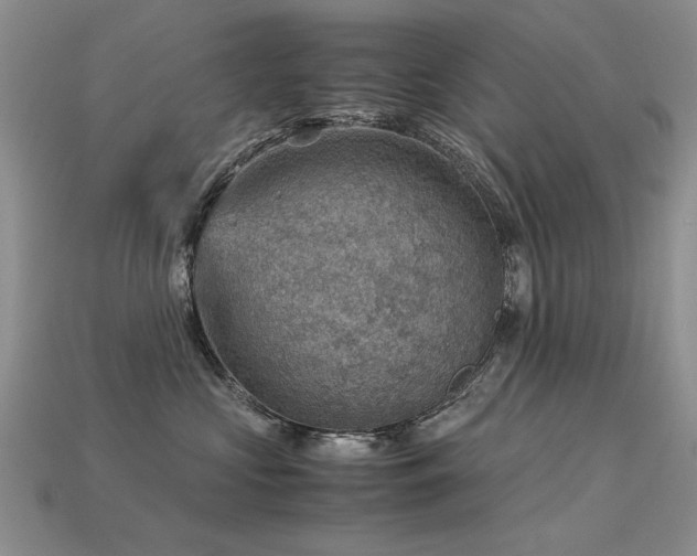 X0000113590573200909181334