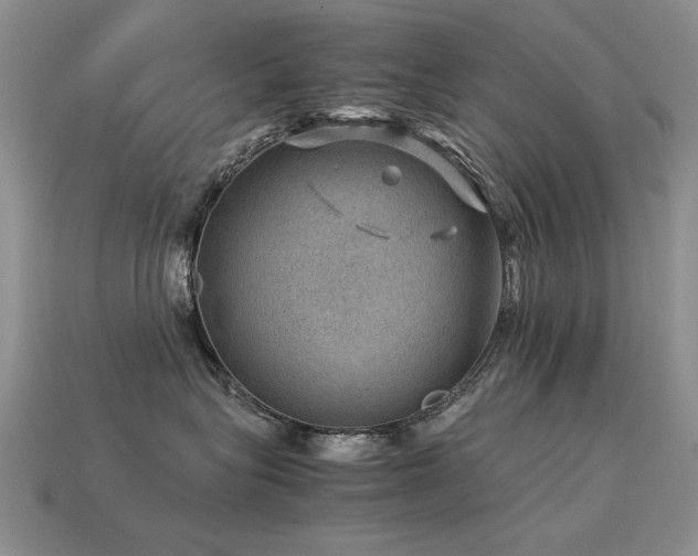 X0000113590575200909181334