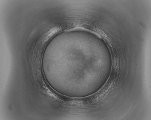 X0000113590577200909181333