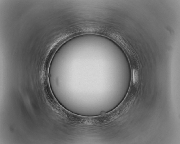 X0000113590579200909181333