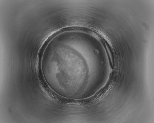 X0000113590580200909181333