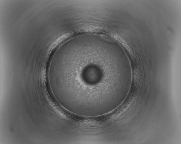 X0000113590581200909181333