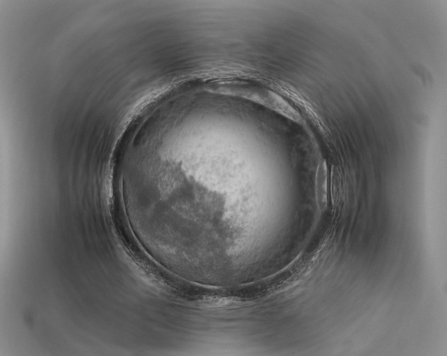 X0000113590582200909181333