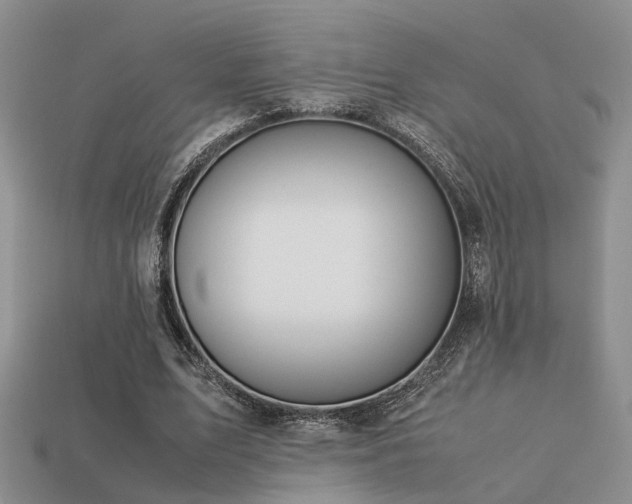 X0000113590583200909181333