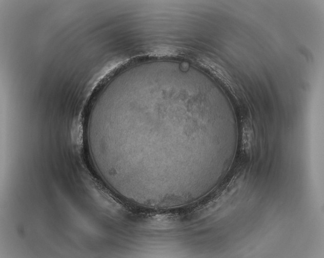 X0000113590584200909181333