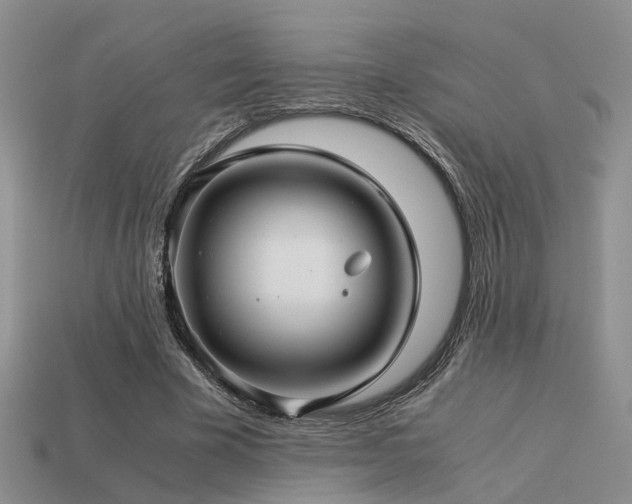 X0000113590585200909181333