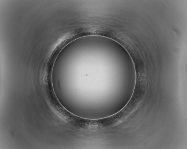 X0000113590587200909181333