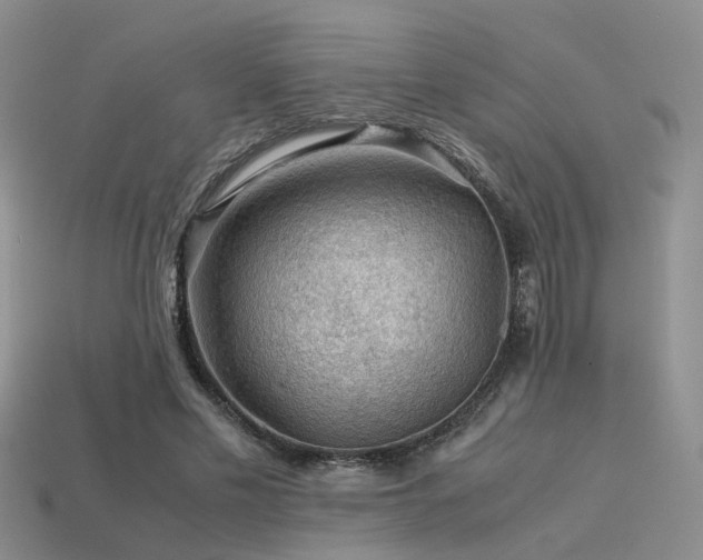 X0000113590589200909181333