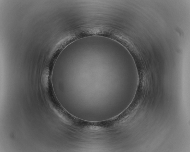 X0000113590590200909181333