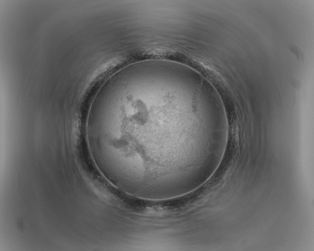 X0000113590591200909181333