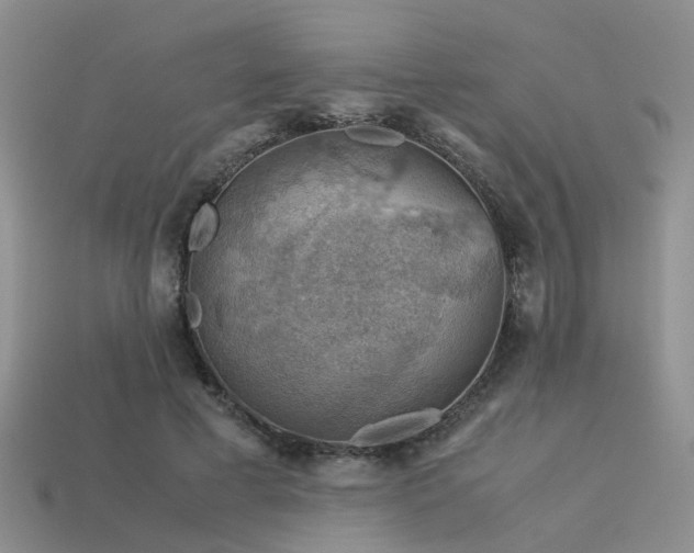 X0000113590593200909181333