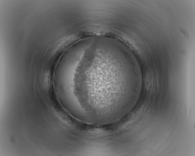 X0000113590594200909181333