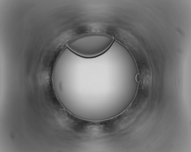 X0000113590595200909181333