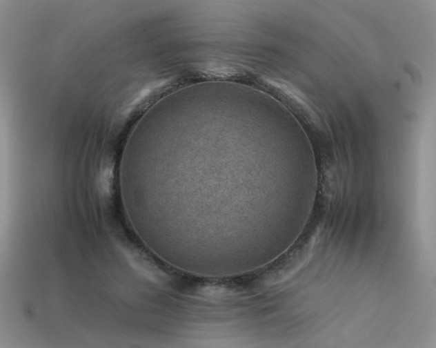 X0000113590596200909181333