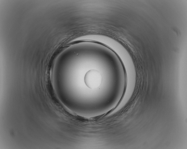 X0000113590597200909181333