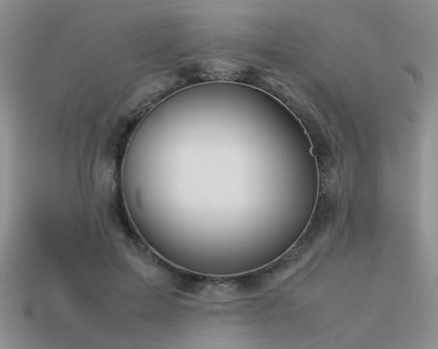 X0000113590599200909181333